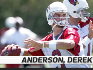 Derek Anderson picture, image, poster